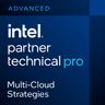 Intel certification badge